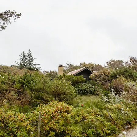 Simple Living Right Next To The Sea Tatil Evi