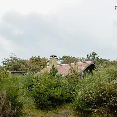 Simple Living Right Next To The Sea Tatil Evi Græsted